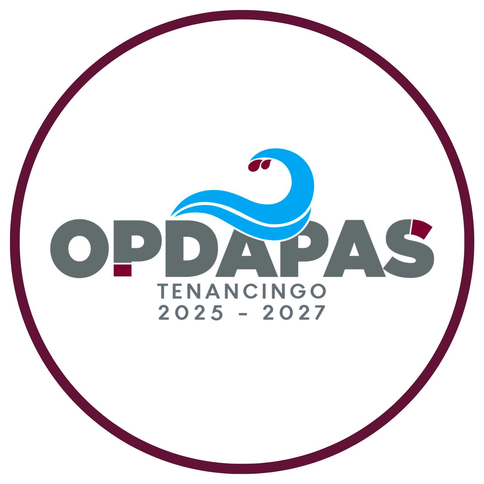 Logo de ODAPAS